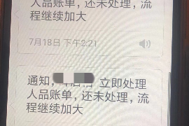 海原为什么选择专业追讨公司来处理您的债务纠纷？